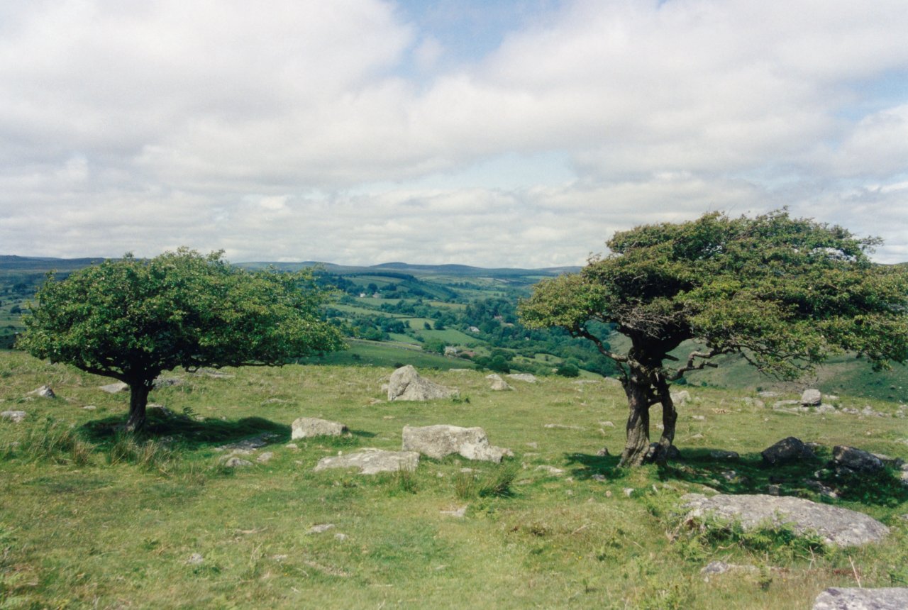 AandM on Dartmoor 6-2000 3